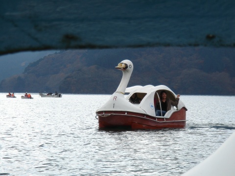 DSC00180.jpg