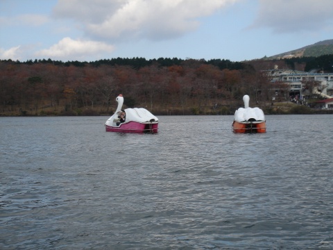 DSC00181.jpg