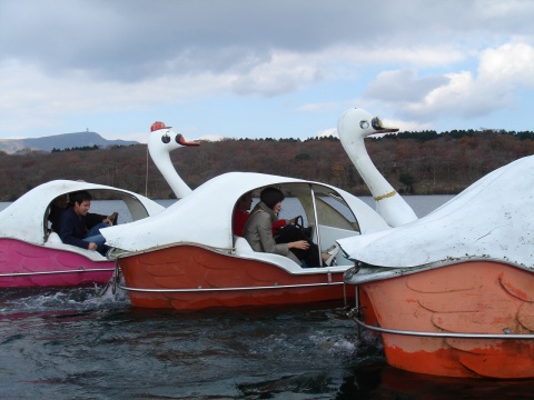 DSC00182.jpg