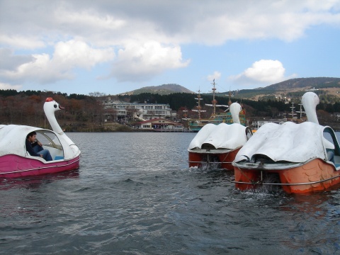 DSC00183.jpg