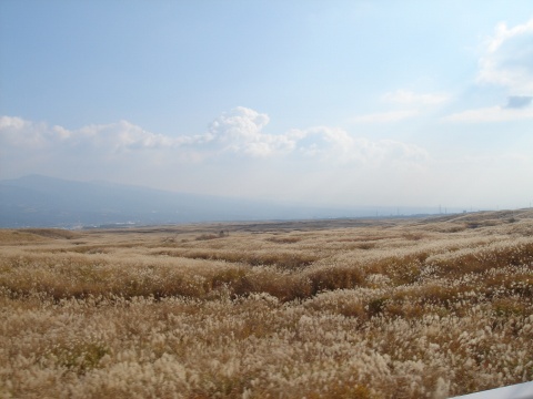 DSC00201.jpg