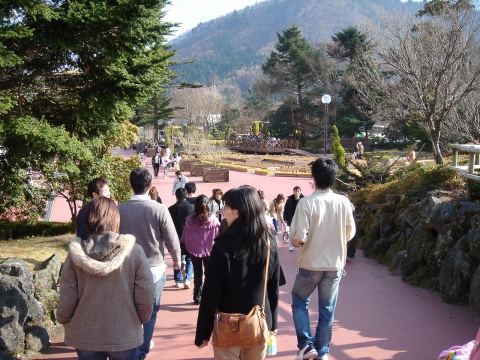 DSC00205.jpg