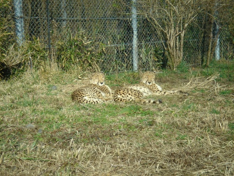 DSC00222.jpg