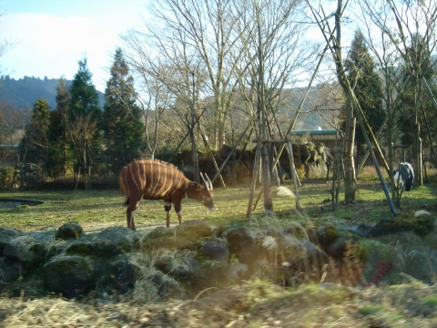 DSC00233.jpg