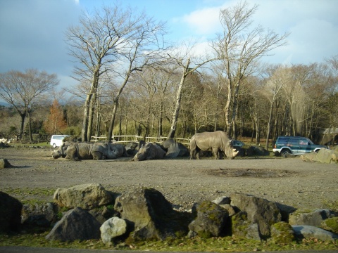 DSC00234.jpg