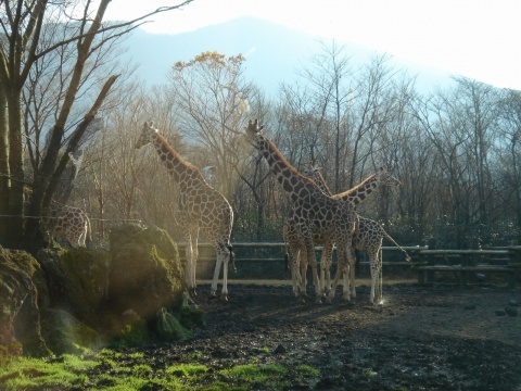 DSC00235.jpg