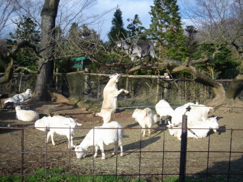 DSC00258.jpg