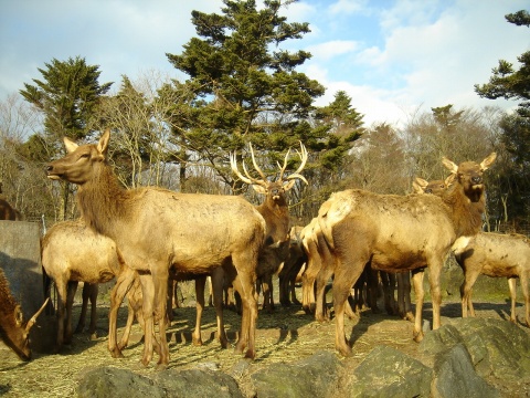 DSC00265.jpg
