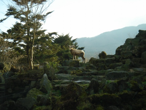 DSC00276.jpg