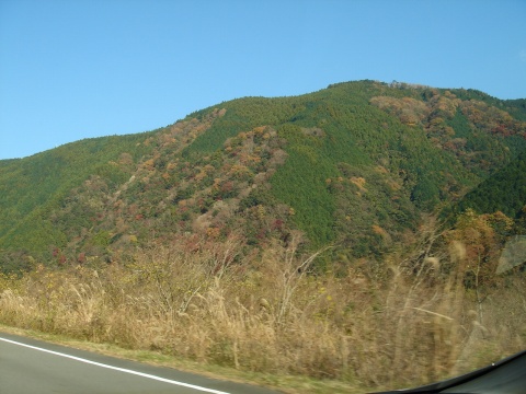 DSC00307.jpg