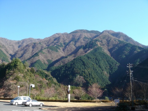 DSC00324.jpg