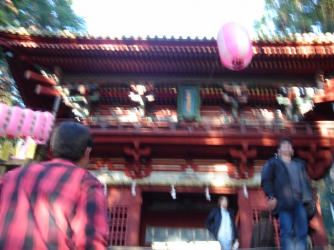 DSC00726.jpg
