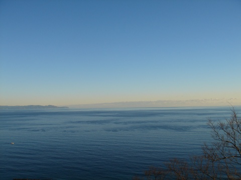 DSC00729.jpg