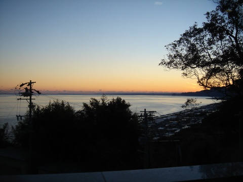 DSC00731.jpg