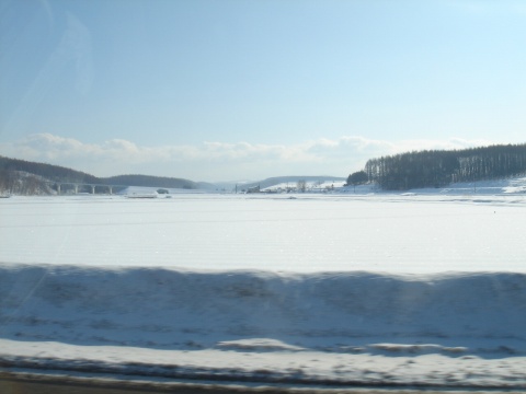 DSC00895.jpg