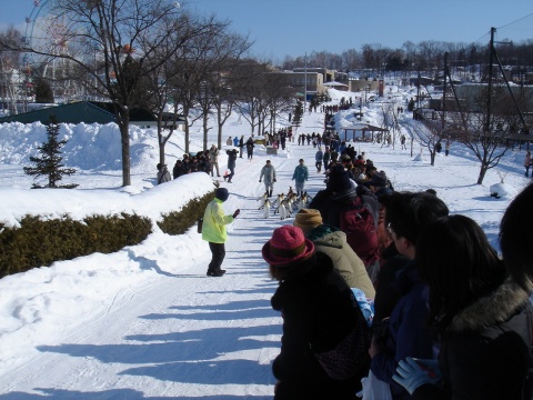 DSC00909.jpg