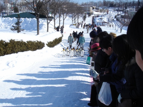 DSC00910.jpg