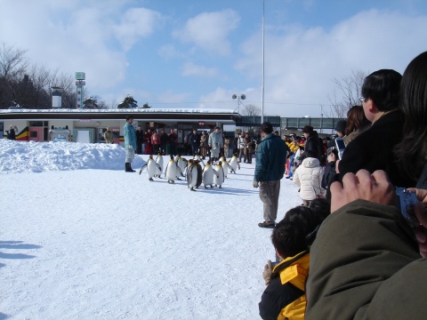 DSC00929.jpg
