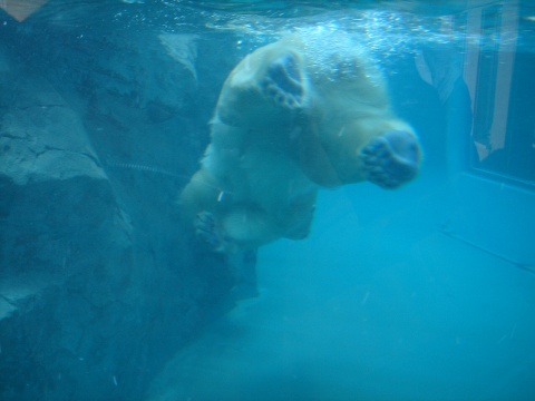DSC00961.jpg