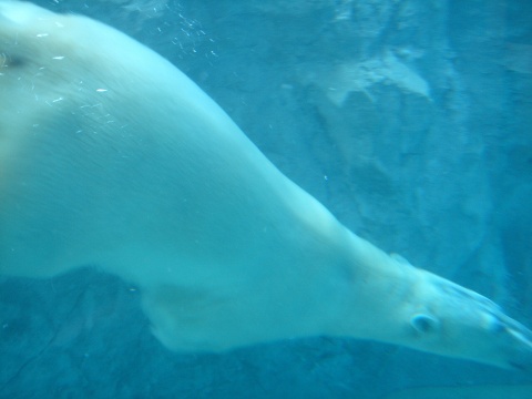DSC00990.jpg
