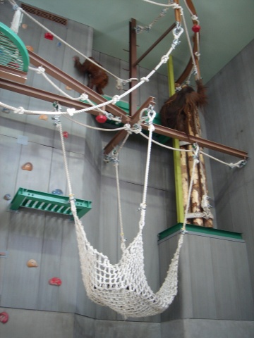 DSC01000.jpg
