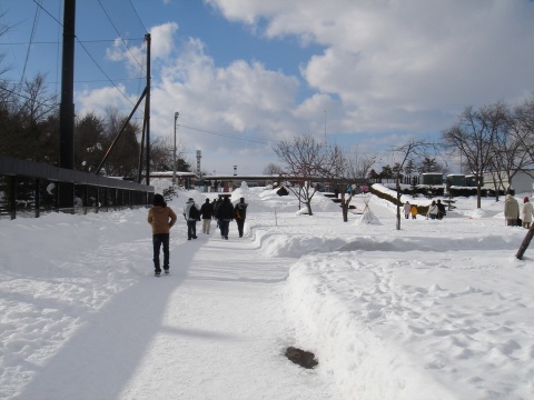 DSC01050.jpg