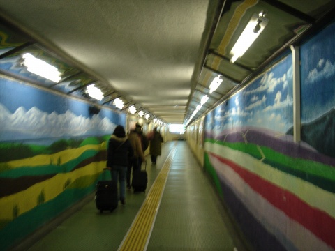 DSC01053.jpg