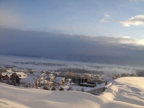 DSC01095.jpg