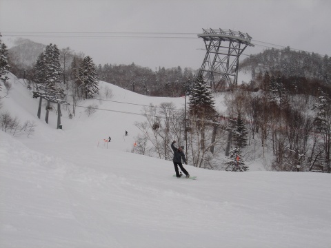 DSC01116.jpg