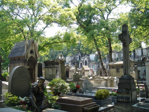 DSC01262.jpg