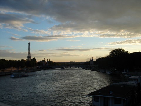 DSC01351.jpg