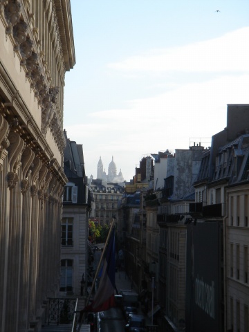 DSC01431.jpg