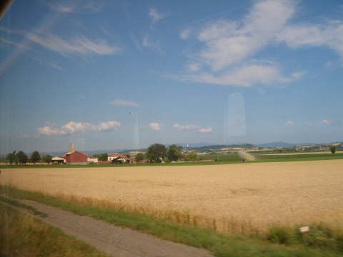 DSC01643.jpg