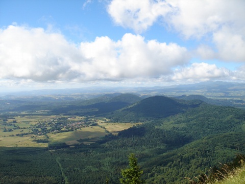 DSC01896.jpg