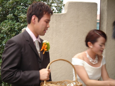 DSC02310.jpg