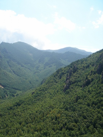 DSC02583.jpg