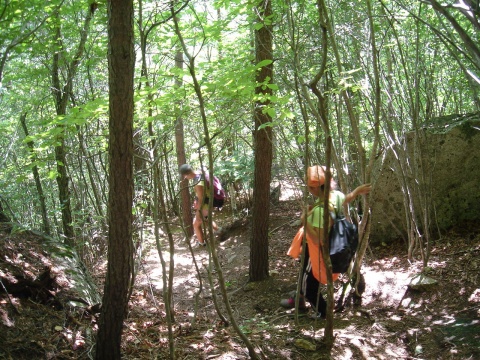 DSC02586.jpg