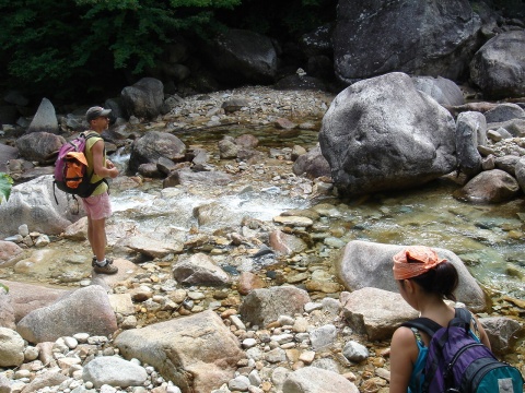 DSC02614.jpg
