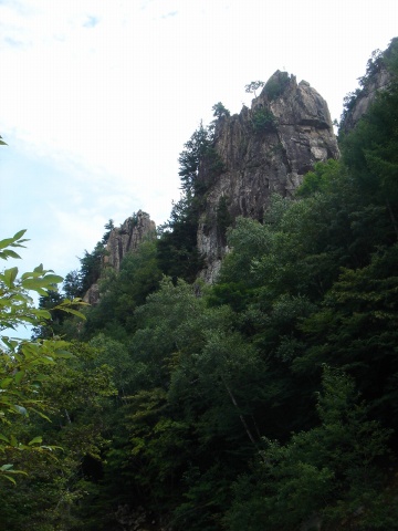 DSC02619.jpg