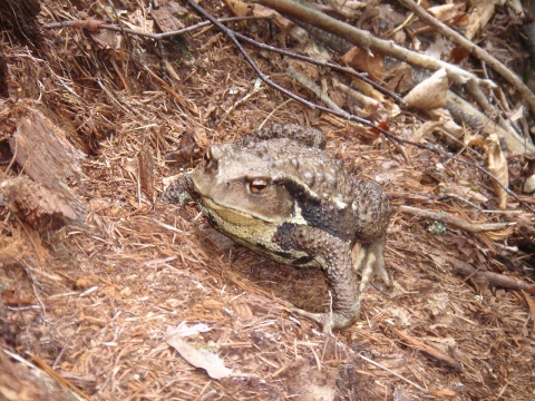 DSC02651.jpg