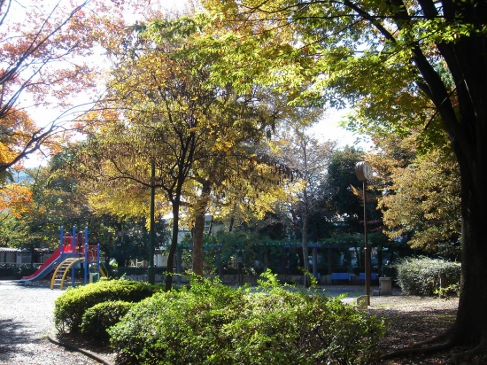 DSC03124.jpg