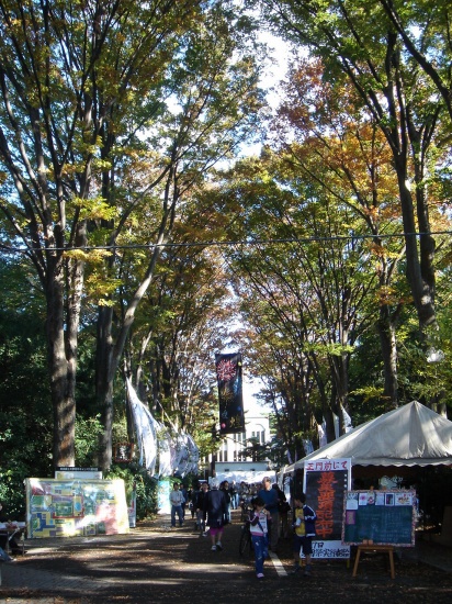 DSC03133.jpg