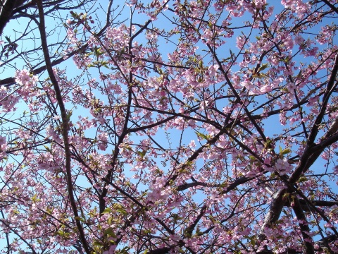 DSC03644.jpg
