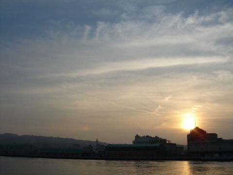 DSC03661.jpg
