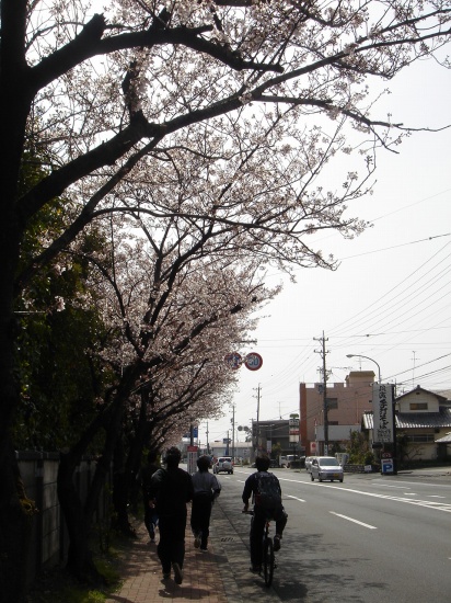 DSC04009.jpg
