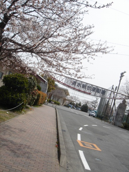 DSC04028.jpg