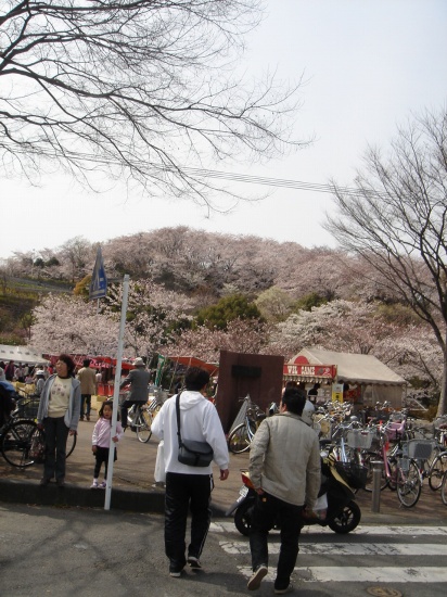 DSC04029.jpg