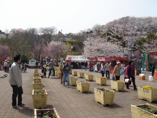 DSC04031.jpg