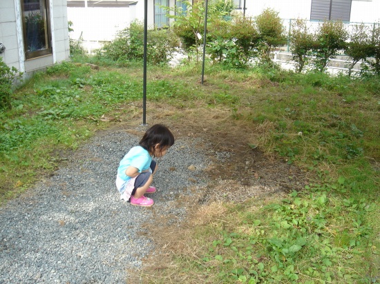 DSC04121.jpg