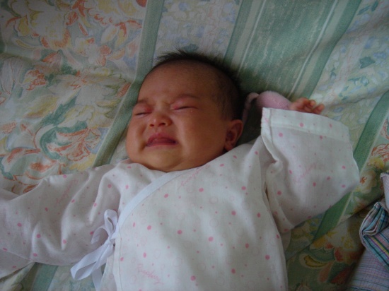 DSC04212.jpg